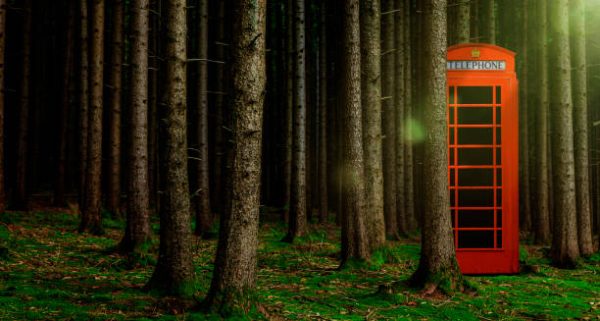Telephone Booth in the Wilderness
