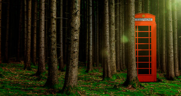 Phone booth in forest, courtesy of Getty Images/iStock photos.
